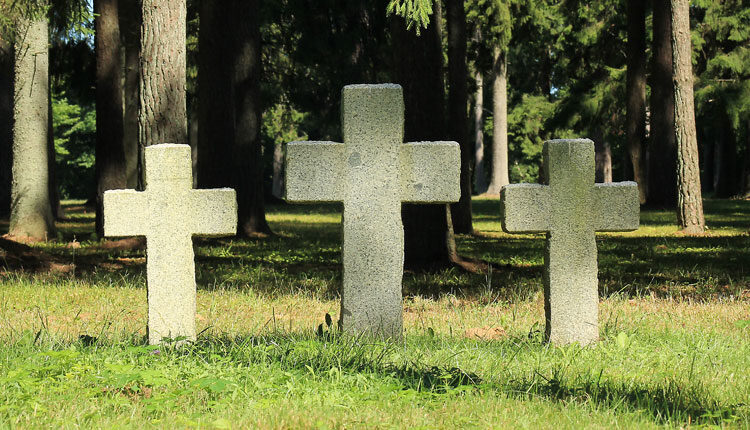 немецкое военное кладбище тойла