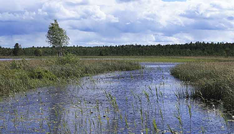 valgejärve nature trail