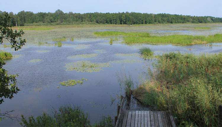 Elistvere järv