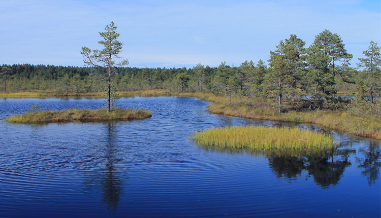 lahemaa rahvuspark