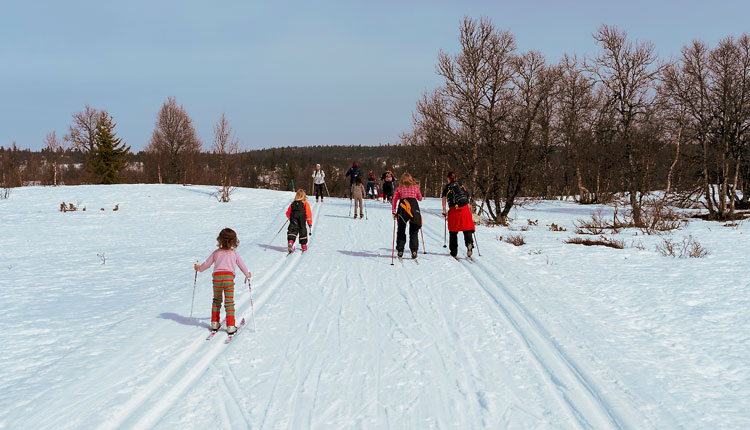 suusarajad tallinnas