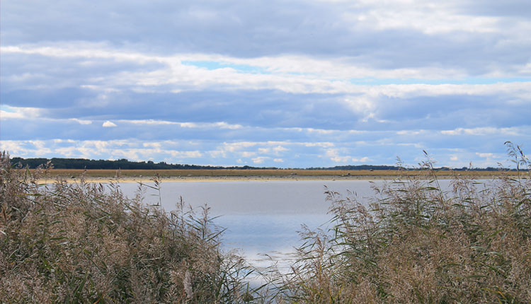 matsalu rahvuspark