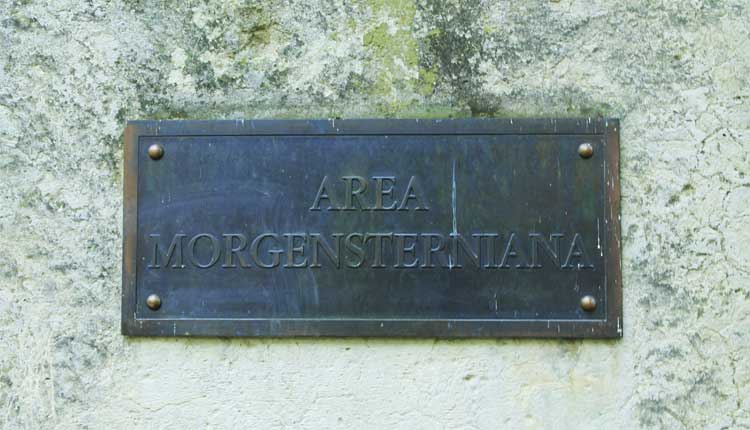 area morgensterniana