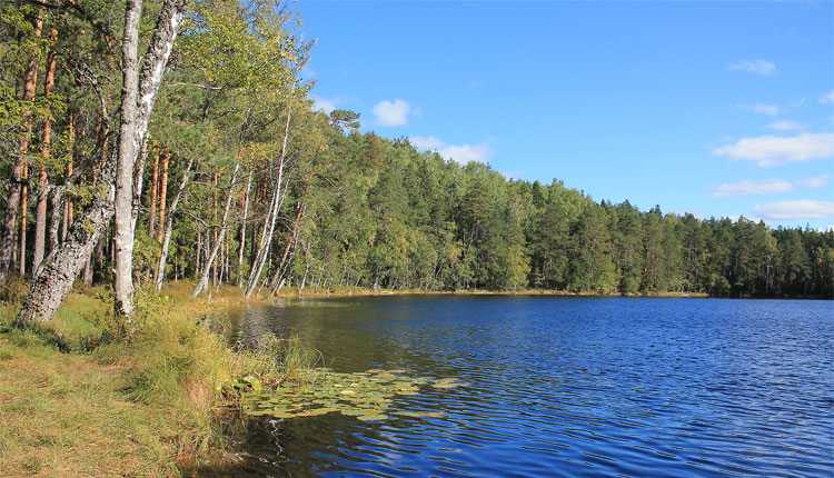 paunküla matkarada